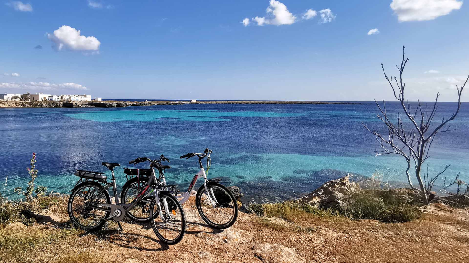 Alberti Rent rental services a Favignana